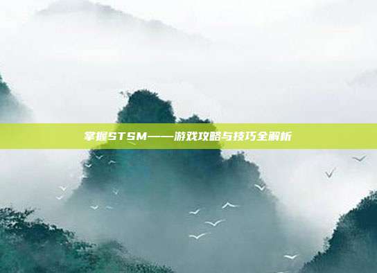 掌握STSM——游戏攻略与技巧全解析