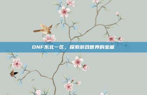 DNF东北一区,探索游戏世界的宝藏