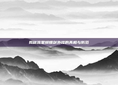 揭秘流星蝴蝶剑外挂的真相与防范