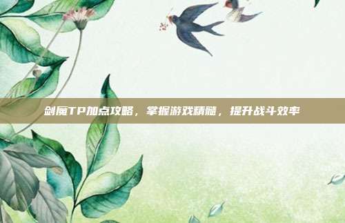 剑魔TP加点攻略，掌握游戏精髓，提升战斗效率
