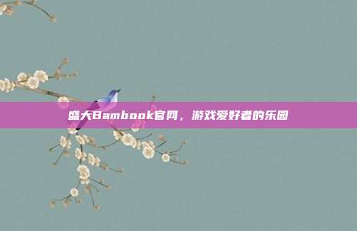 盛大Bambook官网,游戏爱好者的乐园