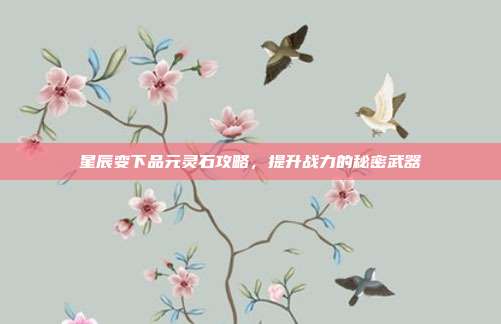 星辰变下品元灵石攻略,提升战力的秘密武器