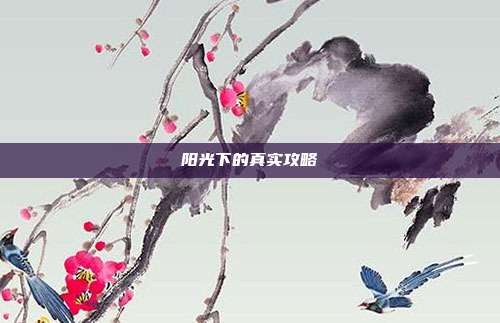 阳光下的真实攻略
