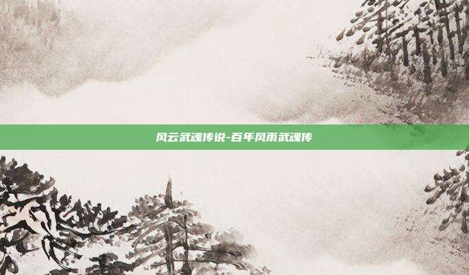 风云武魂传说-百年风雨武魂传