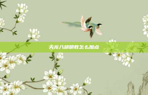 天龙八部明教怎么加点