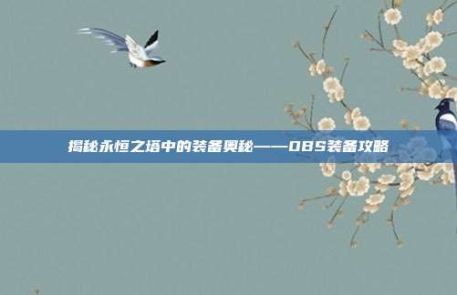 揭秘永恒之塔中的装备奥秘——OBS装备攻略