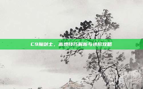 C9魔剑士,高燃技巧解析与进阶攻略