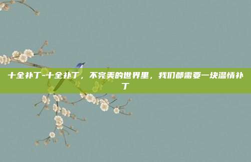 十全补丁-十全补丁,不完美的世界里,我们都需要一块温情补丁