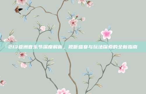213亚洲音乐节深度解析,视听盛宴与玩法探索的全新指南