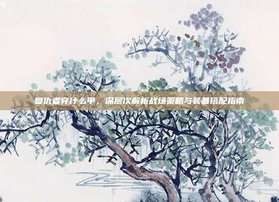 复仇者穿什么甲,深层次解析战场策略与装备搭配指南