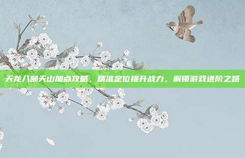 天龙八部天山加点攻略,精准定位提升战力,解锁游戏进阶之路