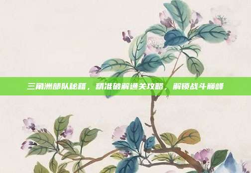 三角洲部队秘籍，精准破解通关攻略，解锁战斗巅峰