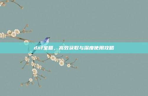 dnf宝箱,高效获取与深度使用攻略