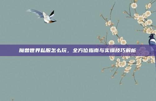 魔兽世界私服怎么玩，全方位指南与实操技巧解析