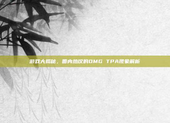 游戏大揭秘,圈内热议的OMG TPA现象解析