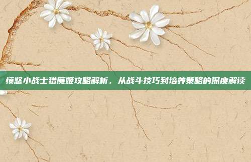 愤怒小战士猎魔姬攻略解析，从战斗技巧到培养策略的深度解读