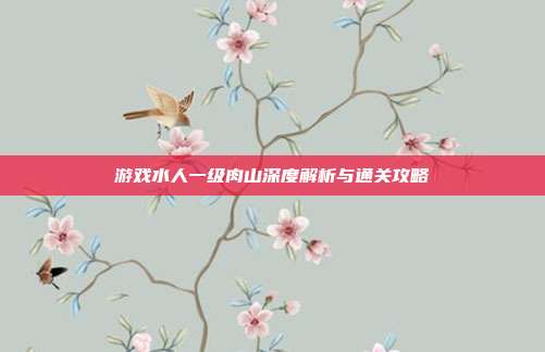 游戏水人一级肉山深度解析与通关攻略