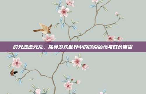 时光迷逝元龙,探寻游戏世界中的探索秘境与成长旅程