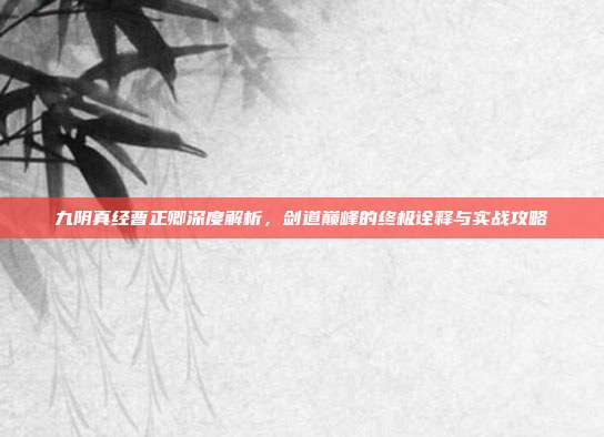 九阴真经曹正卿深度解析，剑道巅峰的终极诠释与实战攻略