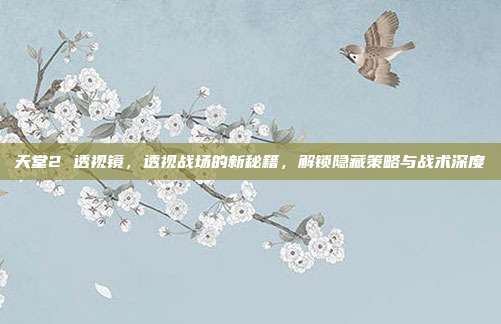 天堂2 透视镜,透视战场的新秘籍,解锁隐藏策略与战术深度