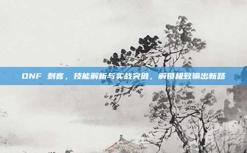 DNF 刺客,技能解析与实战突破,解锁极致输出新路
