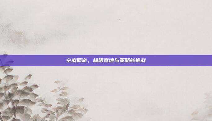 空战网游,极限竞速与策略新挑战