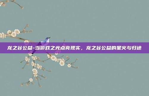 龙之谷公益-当游戏之光点亮现实,龙之谷公益的星火与归途