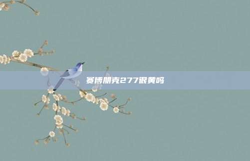 赛博朋克277很黄吗