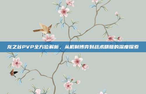 龙之谷PVP全方位解析,从机制博弈到战术精髓的深度探索