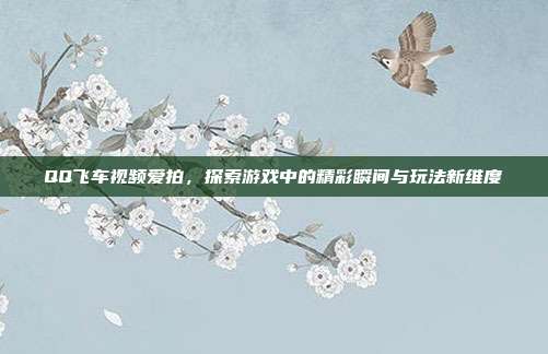 QQ飞车视频爱拍,探索游戏中的精彩瞬间与玩法新维度