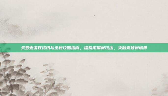 天罗宏游戏资讯与全新攻略指南,探索拓展新玩法,突破竞技新境界
