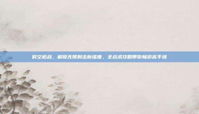 时空枪战,解锁无限射击新维度,全战术攻略带你畅游高手场