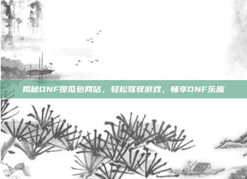 揭秘DNF傻瓜包网站,轻松驾驭游戏,畅享DNF乐趣