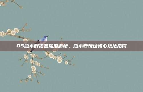 85版本野猪套深度解析,版本新玩法核心玩法指南