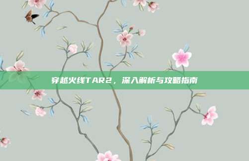 穿越火线TAR2,深入解析与攻略指南