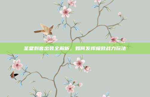 圣堂刺客出装全解析,如何发挥极致战力玩法