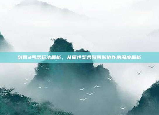 剑网3丐帮玩法解析,从属性契合到团队协作的深度解析