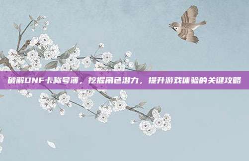 破解DNF卡称号薄,挖掘角色潜力,提升游戏体验的关键攻略