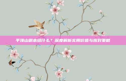 平顶山副本给什么?深度解析实用价值与应对策略
