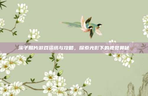 溪子照片游戏资讯与攻略,探索光影下的视觉奥秘