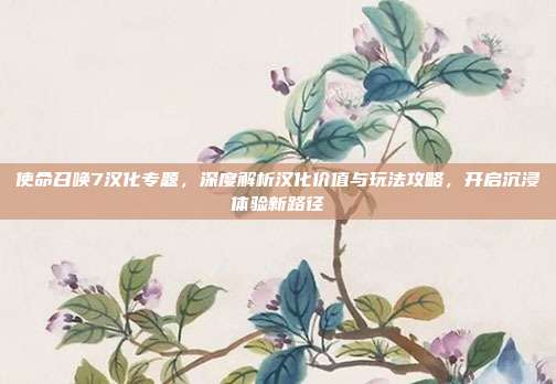 使命召唤7汉化专题,深度解析汉化价值与玩法攻略,开启沉浸体验新路径