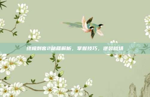 终极刺客2秘籍解析,掌握技巧,逆袭战场