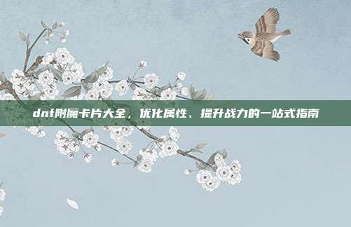 dnf附魔卡片大全，优化属性、提升战力的一站式指南