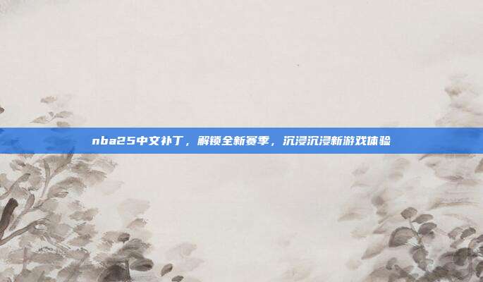 nba25中文补丁，解锁全新赛季，沉浸沉浸新游戏体验