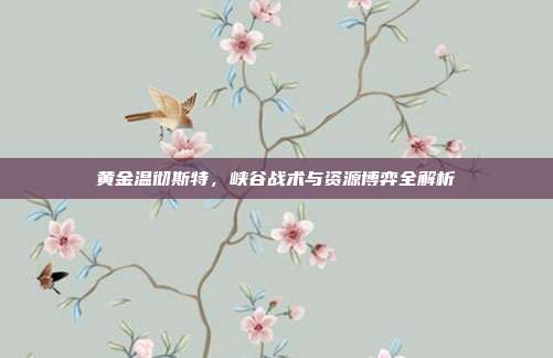 黄金温彻斯特，峡谷战术与资源博弈全解析