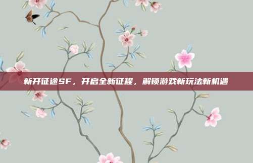 新开征途SF,开启全新征程,解锁游戏新玩法新机遇