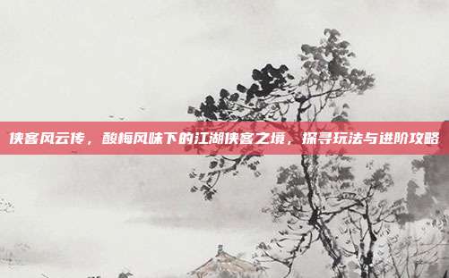 侠客风云传,酸梅风味下的江湖侠客之境,探寻玩法与进阶攻略