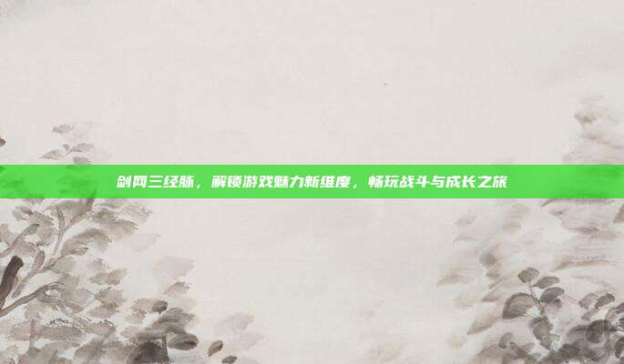 剑网三经脉,解锁游戏魅力新维度,畅玩战斗与成长之旅