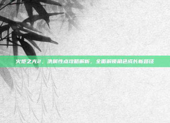 火炬之光2,洗属性点攻略解析,全面解锁角色成长新路径