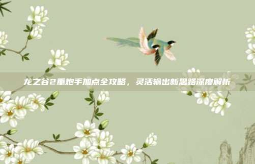 龙之谷2重炮手加点全攻略，灵活输出新思路深度解析